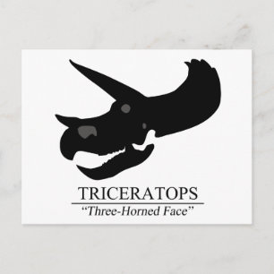 Triceratops Skull Vykort