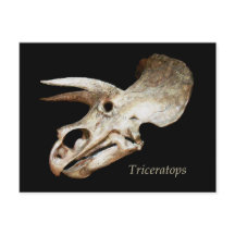 Triceratops Skull-vykort