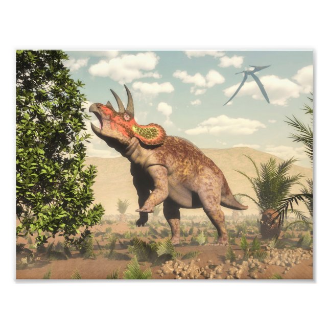 Triceratops som äter magnolia träd - 3D-rendering Fototryck (Framsidan)