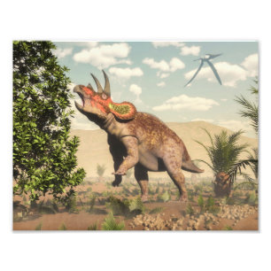 Triceratops som äter på magnoliaträd - 3D framf Fototryck