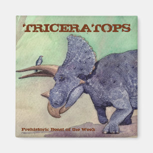 Triceratopsmagnet Magnet