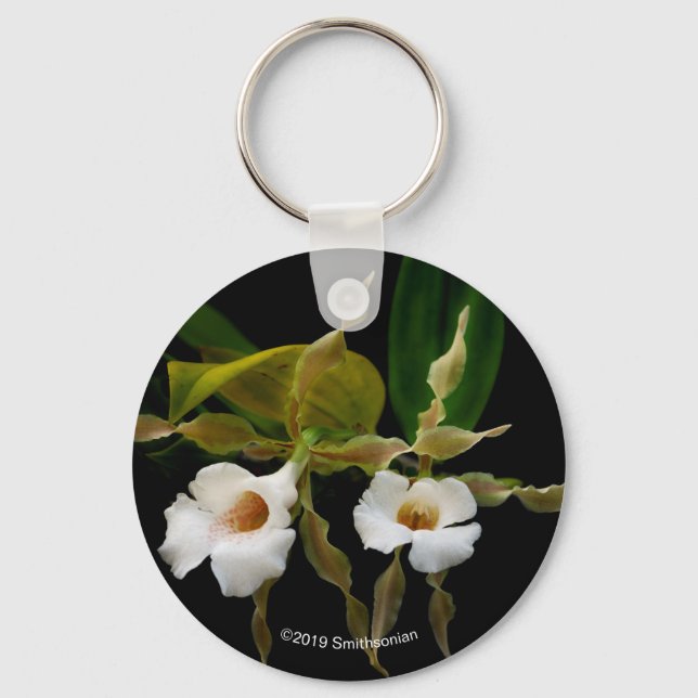 Trichopilia Tortilis Nyckelring (Framsida)