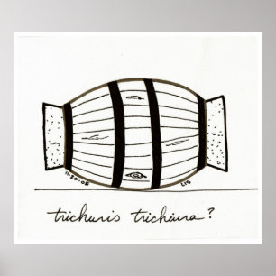 Trichuris trichiuria print poster