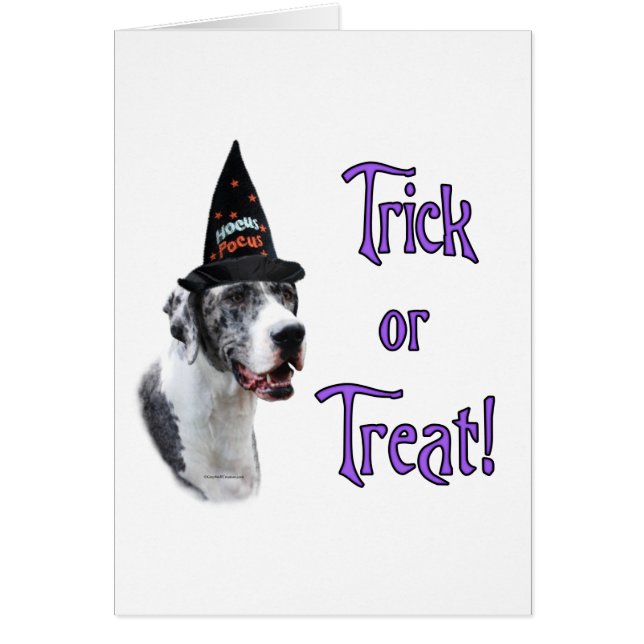Trick av great dane (merle) hälsningskort (Framsidan)