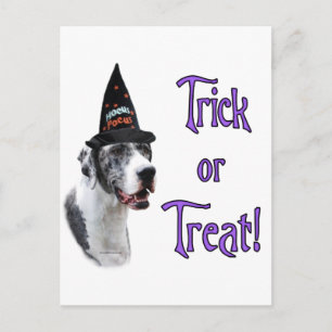 Trick av great dane (merle) vykort