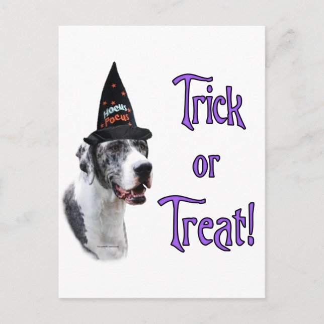 Trick av great dane (merle) vykort (Framsida)