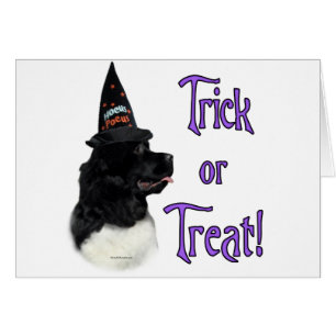 Trick från Newfoundland (landseer) Hälsningskort