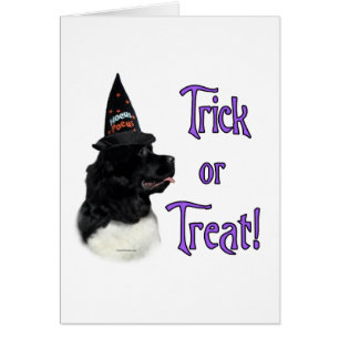 Trick från Newfoundland (landseer) Hälsningskort