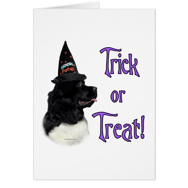 Trick från Newfoundland (landseer) Hälsningskort (Framsidan)