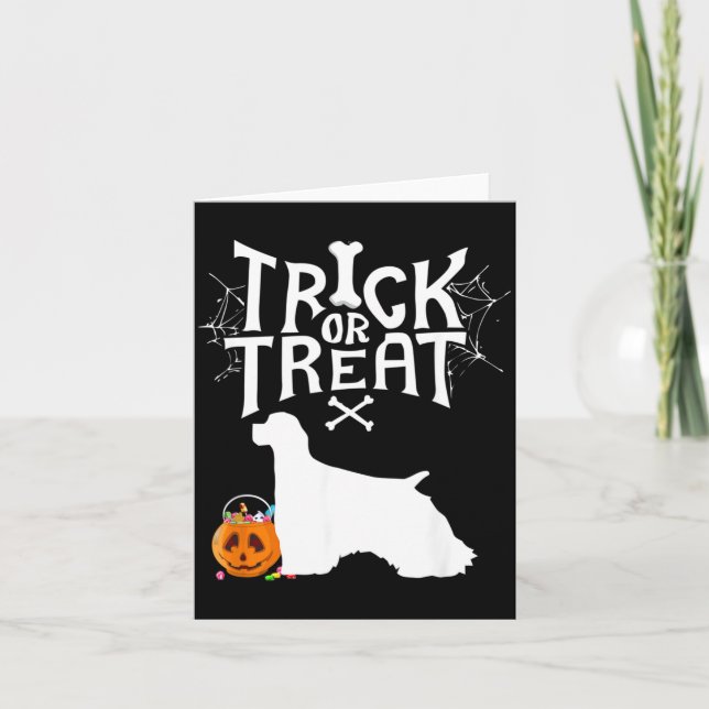 Trick Or Treat Er Spaniel Halloween Hundkostym Kort (Framsida)