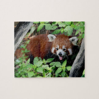 Tricksy Red Panda Pussel