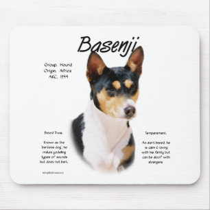Tricolor Basenji History, allt om Basenjis Musmatta
