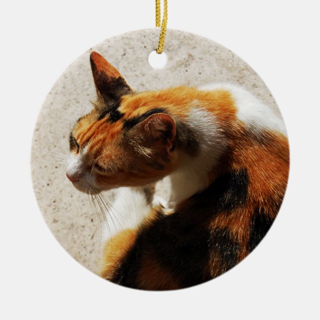 Tricolor Cat Ornament (Framsidan)
