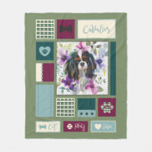 Tricolor Cavalier-filt| Medel