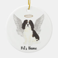 Tricolor Cavalier King Charles Spaniel Sympati