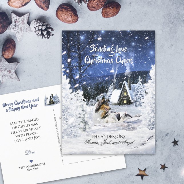 Tricolor Collie & Lambs in Snowy Night - Helgdag Vykort (Skapare uppladdad)