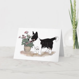 Tricolor CorgiNotecard för kofta walesisk ~ Kort