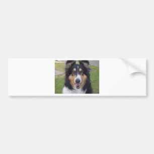 Tricolor grov collie bildekal