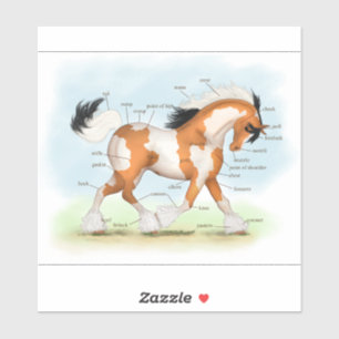 Tricolor Overo Pinto Gypsy Horse Anatomy Diagram Klistermärken