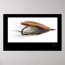 Tricolor Salmon Fly Poster