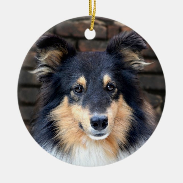 Tricolor Sheltie ansikte Julgransprydnad Keramik (Framsidan)