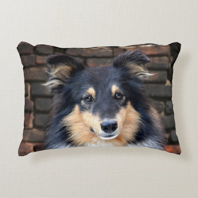 Tricolor Sheltie Prydnadskudde (Framsidan)