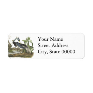 Tricolored Heron, John Audubon Returadress Etikett