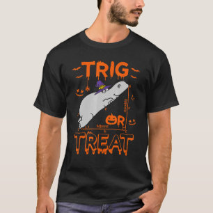 Trig eller behandla Hippopotamus Math Teacher Cost T Shirt