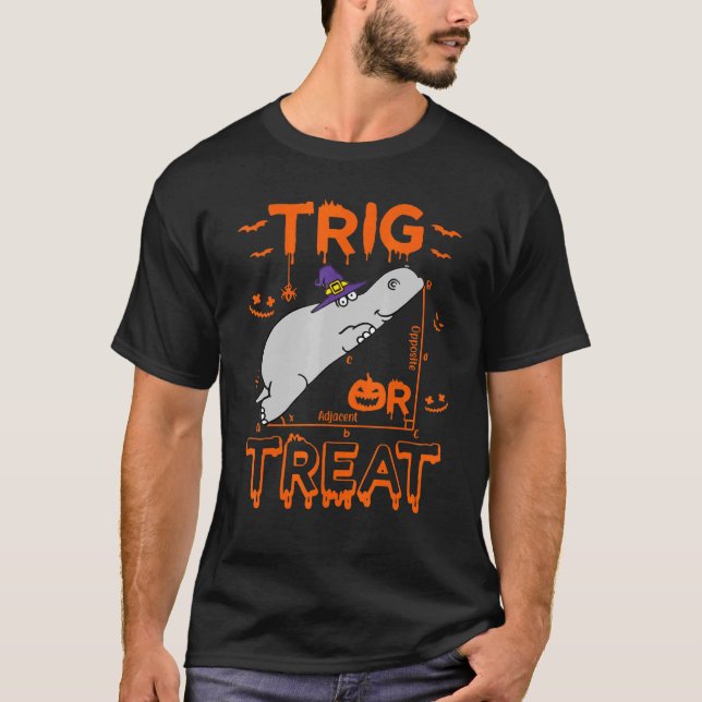 Trig eller behandla Hippopotamus Math Teacher Cost T Shirt (Framsida)
