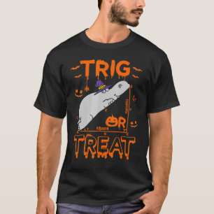 Trig eller behandla Hippopotamus Math Teacher Cost T Shirt