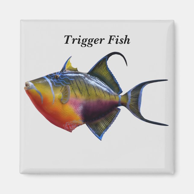 Trigger Fish Magnet (Framsidan)