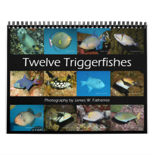 Triggerfishes Wall Calendar av J.W. Faderträdet. Kalender