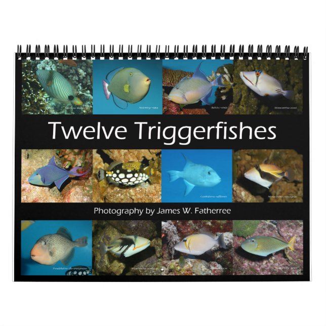 Triggerfishes Wall Calendar av J.W. Faderträdet. Kalender (Omslag)