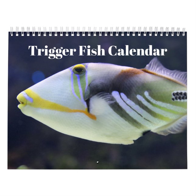 Triggerfisk 2027 kalender (Omslag)