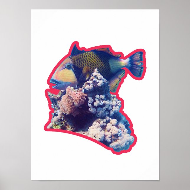 Triggerfisk | Rödkantad organisk beskärningsvy |  Poster (Framsidan)