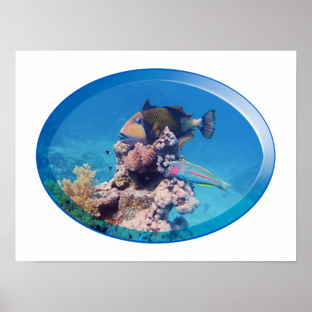 Triggerfisk vid korallrev - Fototdesign |  Poster (Framsidan)