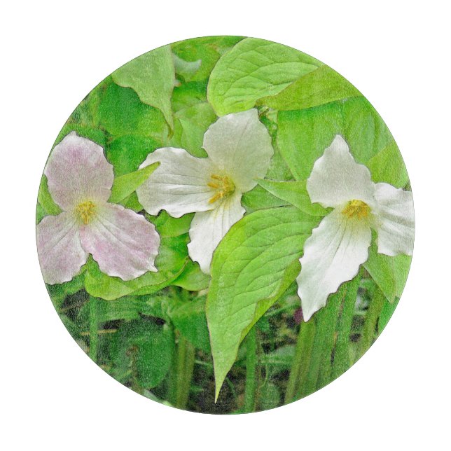 "Trillium" (Framsidan)