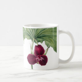 Trillium Botanical Kaffemugg