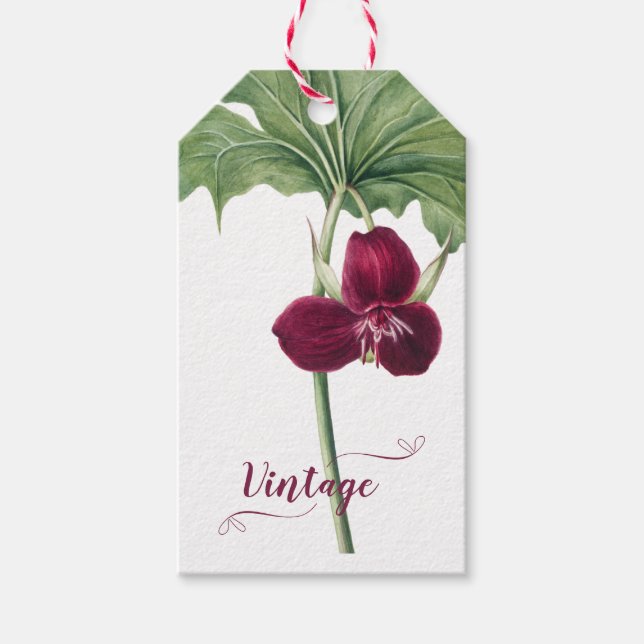 Trillium Botanical Presentetikett (Framsidan)