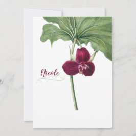 Trillium Botaniska Julkort