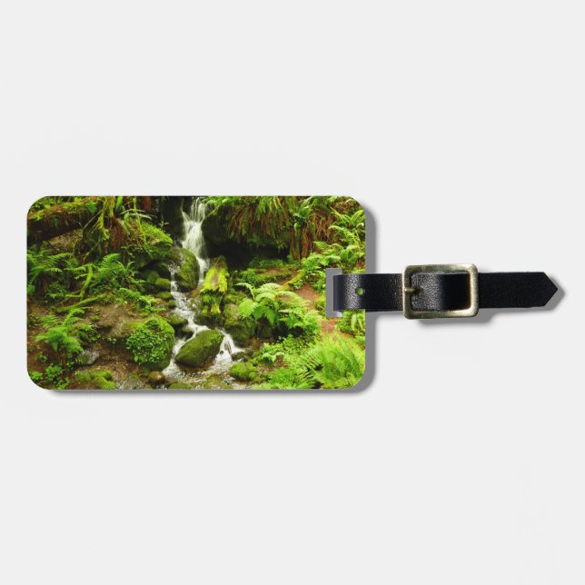 Trillium Falls i nationalparken Redwood Bagagebricka (Horisontell Framsida)