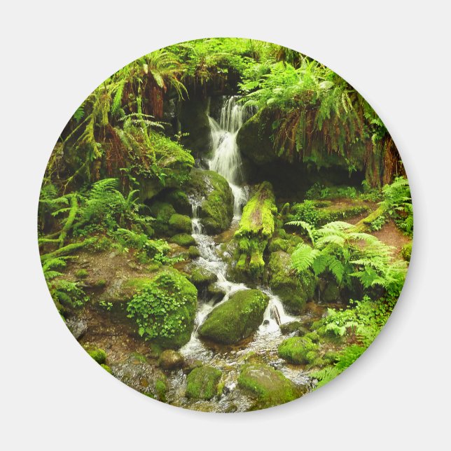 Trillium Falls i nationalparken Redwood Magnet (Framsidan)