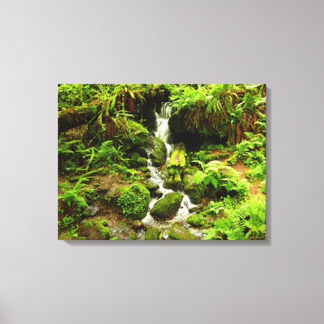 Trillium Falls i Redwood National Park Canvastryck (Framsida)