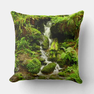 Trillium Falls i Redwood National Park Kudde