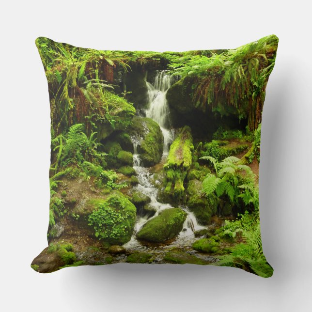 Trillium Falls i Redwood National Park Kudde (Framsida)