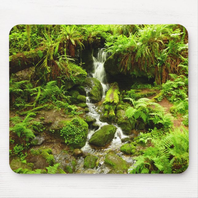 Trillium Falls i Redwood National Park Musmatta (Framsidan)