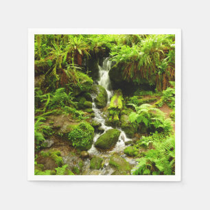 Trillium Falls i Redwood National Park Pappersservett