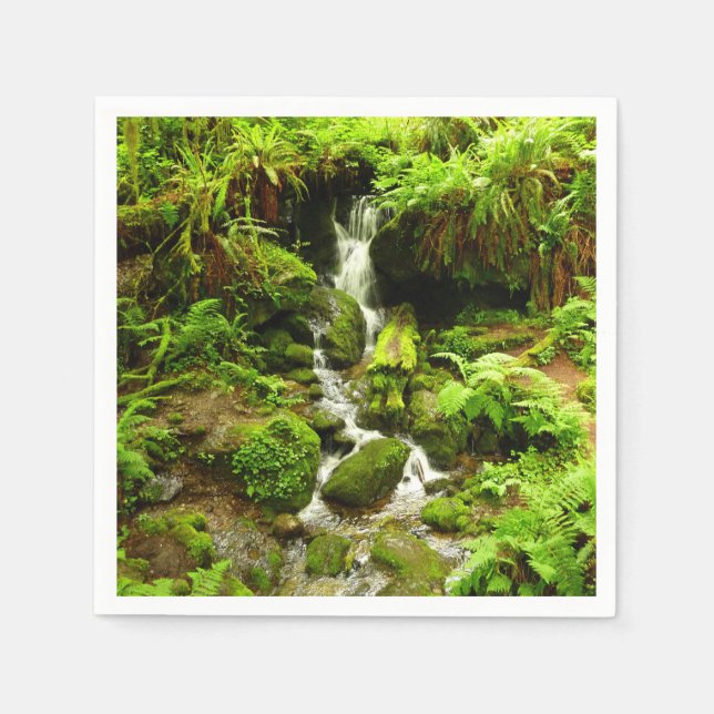 Trillium Falls i Redwood National Park Pappersservett (Framsidan)