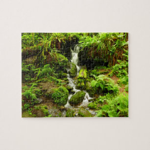 Trillium Falls i Redwood National Park Pussel