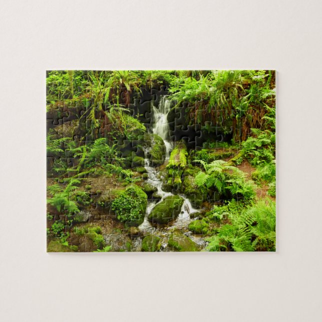 Trillium Falls i Redwood National Park Pussel (Horisontell)